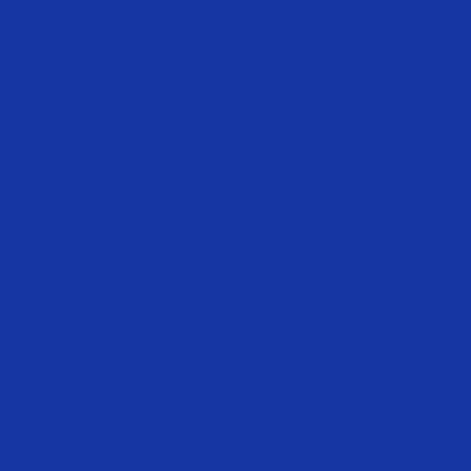 Sidewalls for 10x10 Pop Up Canopy, 210D Polyester Waterproof Canopy Sidewalls with UV Protection, Sunwall Only (Cosmic Blue, 10 * 10ft 3PCS)