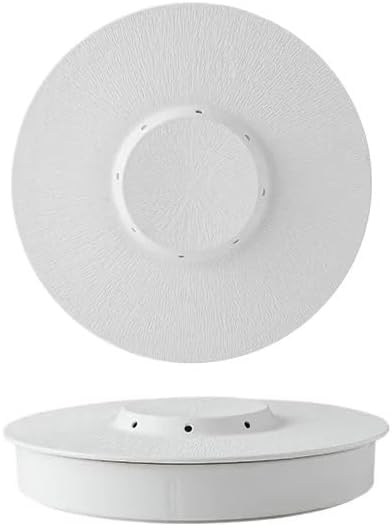Camping Plates Ceramic Dinner Plate Creative Solid Color Dry Ice Plate Sashimi Plate Sushi Plates Salmon Plates Restaurant Specialty Tableware Decorative Plate(B 14 inch)