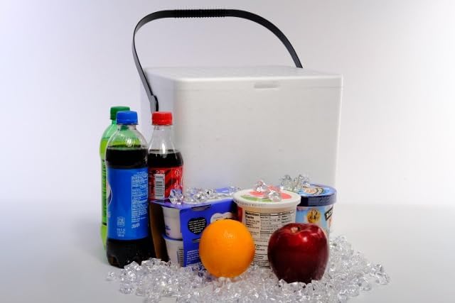12qt Styrofoam Cooler – Lightweight Insulated Ice Chest for Food, Drinks, and Medical Transport | Cold Storage for Grocery Delivery & Frozen Shipping