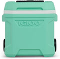 Igloos Profile II 16-Quart Wheeled Cooler with Telescoping Handle, THERMECOOL Insulation, 24-Can Capacity