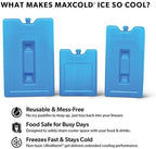 Igloo Maxcold Ice Block