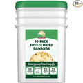 Valley Food Storage Freeze Dried Banana Slices | 10-Bag Bucket, 53 oz | Non-GMO Premium Emergency Food Supply, 25 Year Shelf Life | Prepper Supplies, Survival Food & Off-Grid Living | Packaged in USA