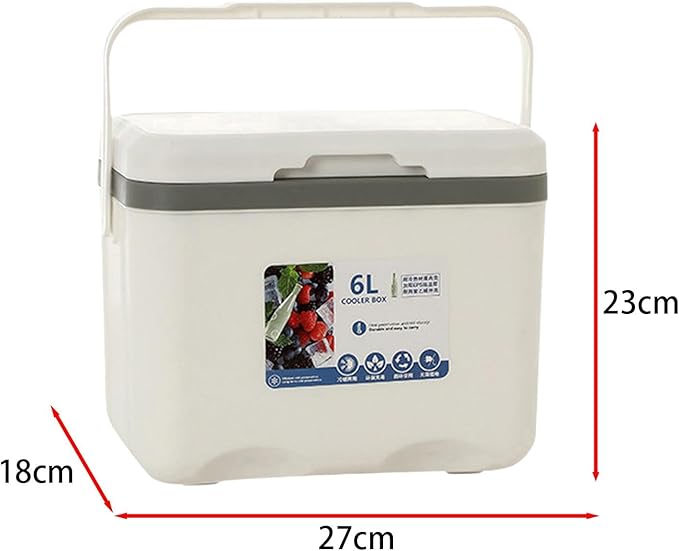 Cooler Box Ice Box 6L Personal with Handle for Freeze/Hot Food Ice Chest Small Insulated Box for Beach Camping Stall Outdoor