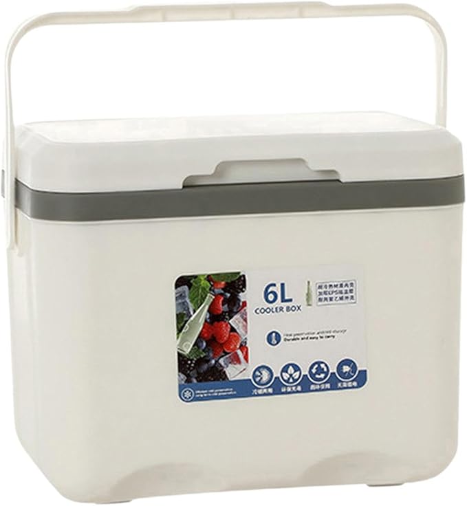 Cooler Box Ice Box 6L Personal with Handle for Freeze/Hot Food Ice Chest Small Insulated Box for Beach Camping Stall Outdoor