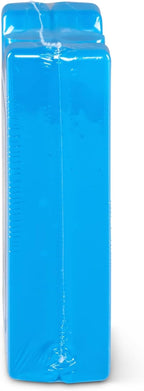Igloo Maxcold Ice Block