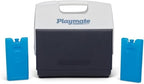 Igloo Maxcold Ice Block