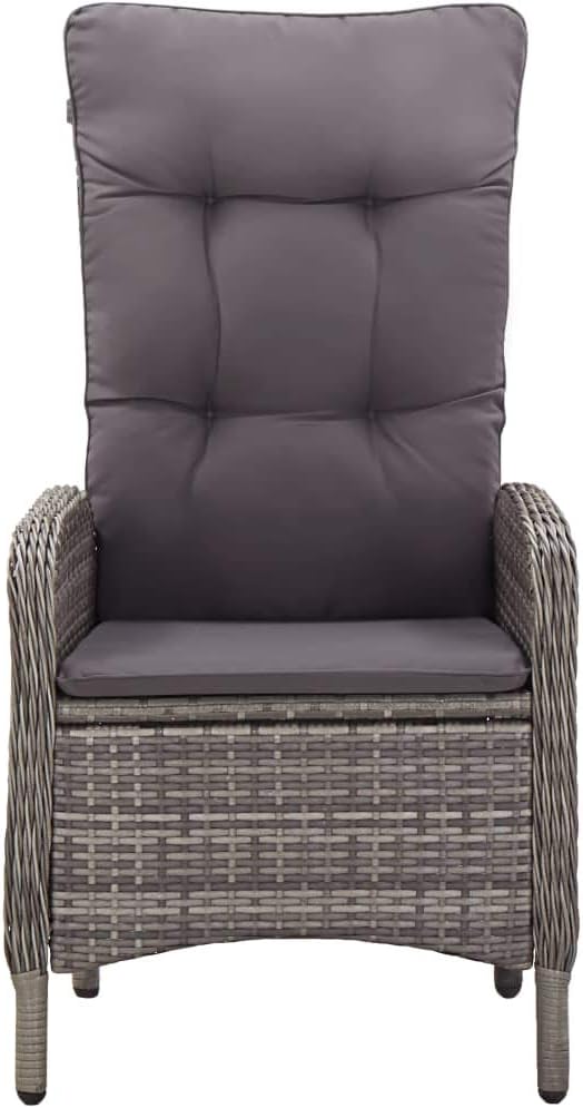 (Fast Shipment) Patio Dining Chairs, Outdoor Chairs, for Camping Pool Beach Deck, Lawn Chair Patio Chairs 2 pcs Poly Rattan Gray