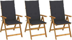 Folding Patio Chairs,Bistro Chair,Patio Funiture,Lawn Chairs,Armchair,Beach Chair,Camp Chair,Coffee Chair,for Outdoor,Fire Pit,Deck,Lawn,Outside,Garden,3 pcs with Cushions Solid Acacia Wood