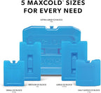 Igloo Maxcold Ice Block