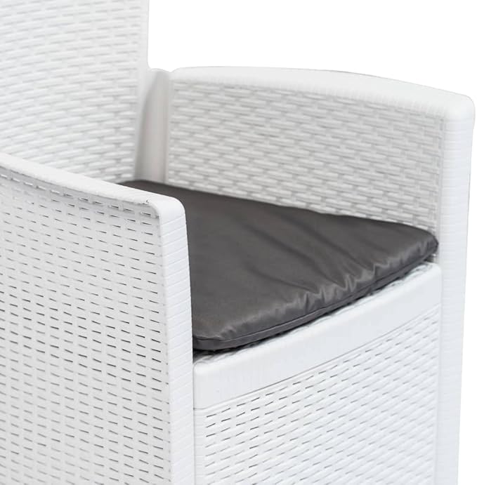 Patio Chairs ,Dining Chairs,Camping Chair,Study Chair,Coffee Chair,Beach Chair,Garden Chairs,Patio Funiture,for Deck, poolside,Camping,Beach,Campsite,2 pcs with Cushion White Plastic Rattan Look