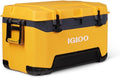 Igloo BMX Cooler | Insulated Hard Shell Ice Chest
