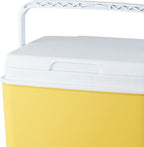 MYCENSE Insulated Ice Cooler, Portable Storage Case Drink Bucket, Versatile Fridge Hard Ice Chest Box for Camping Picnic Beach BBQ Tailgating Fishing
