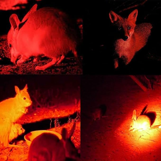 WINDFIRE Red Light Hunting Headlamp Rechargeable, 600 Lumens Bright LED Headlight 3 Modes Tactical Zoomable Headlamps for Astronomy Night Vision Predator Hunting Coyote Hog