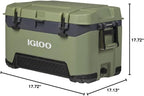 Igloo BMX Cooler | Insulated Hard Shell Ice Chest