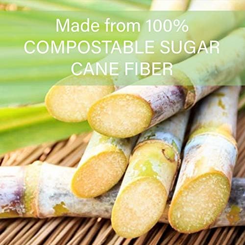 100% Compostable Natural Plant Fiber Plate, 6-Inch, 1000-Count Case