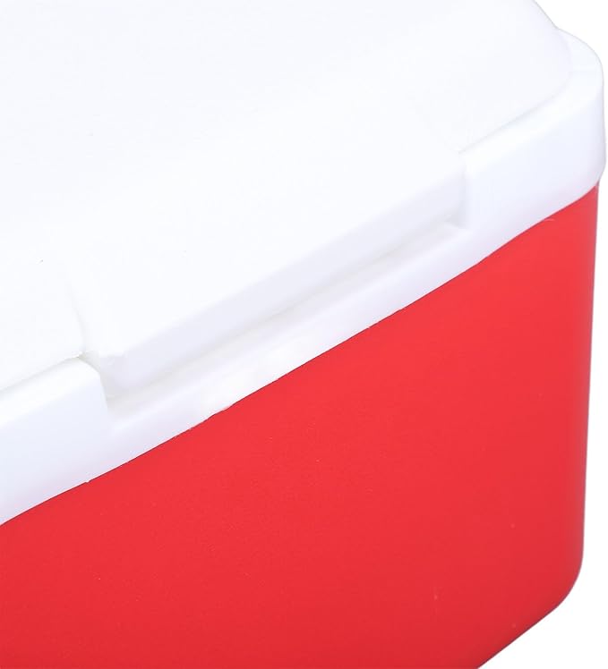SIXRUN 5L Portable Cooler Box, Multifunctional Keeps Food Freshness and Drink Cool Insulated for Travel Camping Fishing and Outdoor Activities