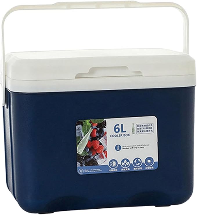 Cooler Box Ice Box 6L Personal with Handle for Freeze/Hot Food Ice Chest Small Insulated Box for Beach Camping Stall Outdoor