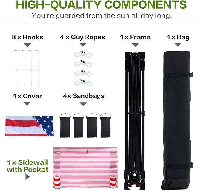 10'x10' Pop Up Canopy Tent with 1 Sidewall and 6 Pockets, One Push Setup, Instant Shade Tent with Vented Roof for Beach Patio Outdoor, Case, 8 Stakes, 4 Ropes, 4 Sandbags (Flag, 10x10)