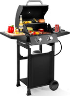2-Burner Gas Grill with 234 SQ.IN. Outdoor Grill with 16,000 BTU,Propane Grills with Top Cover Lid,Grills Outdoor Cooking for Patios,Camping,Balcony-Q039