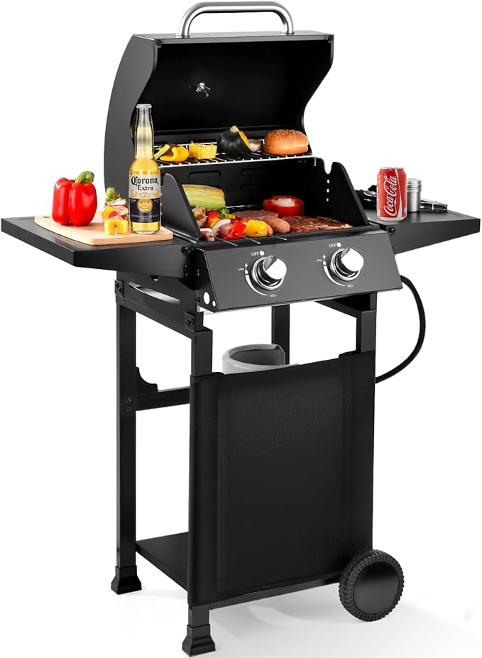 2-Burner Gas Grill with 234 SQ.IN. Outdoor Grill with 16,000 BTU,Propane Grills with Top Cover Lid,Grills Outdoor Cooking for Patios,Camping,Balcony-Q039