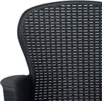 Patio Chairs ,Dining Chairs,Camping Chair,Study Chair,Coffee Chair,Beach Chair,Garden Chairs,Patio Funiture,for Deck, poolside,Camping,Beach,Campsite,2 pcs with Cushion Anthracite Plastic Rattan Look