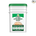 Valley Food Storage Apple Creamy Wheat | 100 Serving Emergency Breakfast Food Supply, 10-Bag Bucket | 25 Year Shelf Life | Survival Meals for Long Term Food Storage, Camping & Prepper Supplies