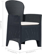 Patio Chairs ,Dining Chairs,Camping Chair,Study Chair,Coffee Chair,Beach Chair,Garden Chairs,Patio Funiture,for Deck, poolside,Camping,Beach,Campsite,2 pcs with Cushion Anthracite Plastic Rattan Look