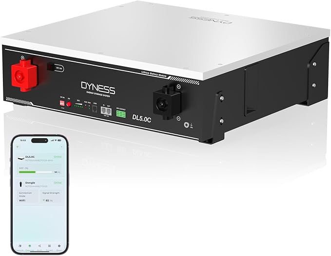 51.2V 100Ah LiFePO4 Battery with 5.12kWh Capacity, Support Wi-Fi App Monitoring, CAN/RS485 Communication, 6000+ Cycles, Max 5.12kW Power Perfect for Off-Grid, Solar, Backup Power