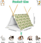 Bearded Dragon Reptile Sleeping Bed Tent Hide Tank Decor Accessories Habitat Shelter for Lizard Bearded Dragon Leopard Gecko (Cactus 1)