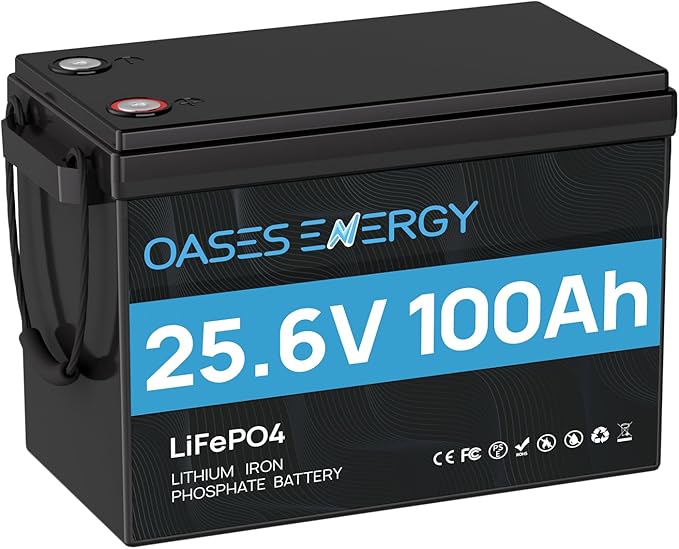 24V 100Ah LiFePO4 Lithium Battery (25.6V) - Mini Deep Cycle Solar Battery, Built-in 100A BMS - for Trolling Motor, Boat, Marine, RV, Home Solar Storage & 24 Volt Off-grid