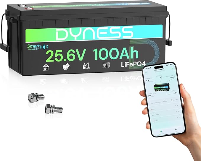 24V 100Ah LiFePO4 Lithium Battery with Bluetooth, Deep Cycle Rechargeable Battery with Low-Temp Protection, 2560W Max for Off-Grid Solar, RV, Camper, Trolling Motor, Home Use