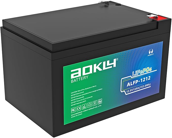 Aokly 12V 12Ah LiFePO4 Battery, Low-Temp Protection, 4000+ Cycles, Built-in 12A BMS, for UPS, Ride on Toys, Fish Finder, Marine, Power Wheels