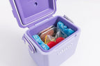 Igloo Maxcold Ice Block