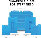Igloo Maxcold Ice Block
