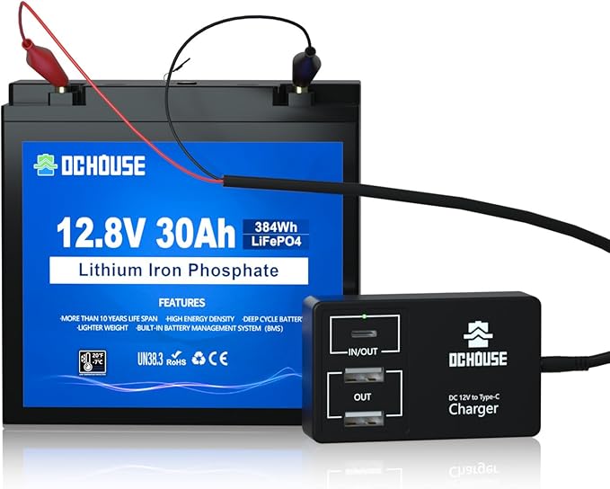 DC HOUSE 12V 30Ah Mini Lithium Battery with DC Output, 2 in 1 Multi-Port USB Charger: 12V Converter or 45W Max Lifepo4 Battery Charger, for Fish Finder, Camping, Ham Radio, Power Wheels, RV