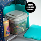 Cool Coolers by Fit + Fresh, Reusable & Long-Lasting XL Slim Ice Pack, Cold Packs for Lunch Boxes, Ice Packs Lunch Bags. Cooler Accessories for Camping, Beach, and Work, 8 Count, Green (Pack of 3)