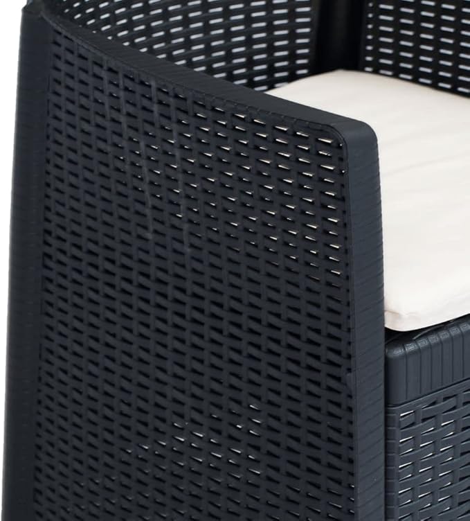 Patio Chairs ,Dining Chairs,Camping Chair,Study Chair,Coffee Chair,Beach Chair,Garden Chairs,Patio Funiture,for Deck, poolside,Camping,Beach,Campsite,2 pcs with Cushion Anthracite Plastic Rattan Look