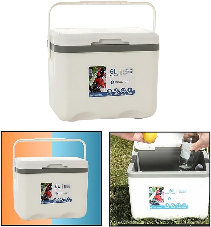 Cooler Box Ice Box 6L Personal with Handle for Freeze/Hot Food Ice Chest Small Insulated Box for Beach Camping Stall Outdoor