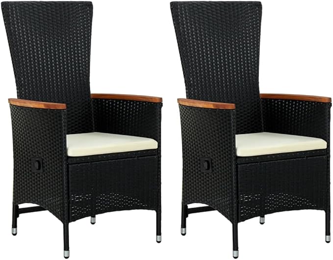 Armchair Set of 2 Black PE Rattan Standard Adjustable Armrests Outdoor Chair Backyard Furniture Camping Chair for Deck Outdoor