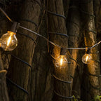 Solar Outdoor String Lights, 15FT G50 Patio Lights String Waterproof with 10 Warm White LED Shatterproof Bulbs, Perfect for Garden, Backyard, Pergola, Party, Cafe, Camping Decoration (15FT)