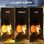 Solar Light Bulb for Outdoor, Portable Waterproof Tent Lights with Clip Hook, Rechargeable Outdoor Solar Light for Camping, Backpacking, Emergency, 4 Pack