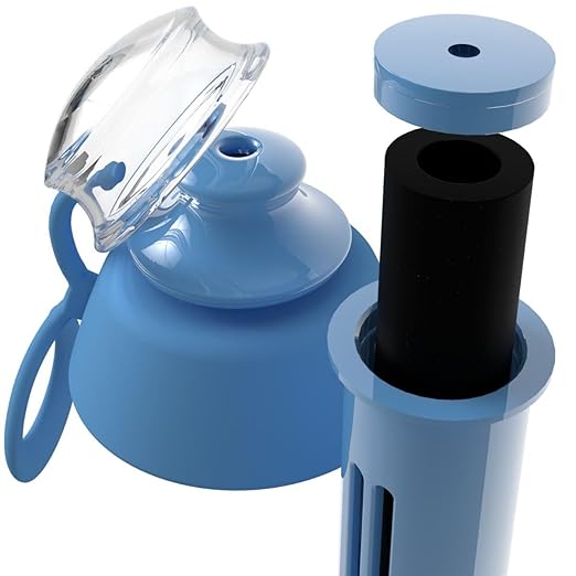 DAFI Water Bottle Filters and Cap Replacements Blue | 2-Pack | Last up to 60 Days | Hiking Water Filter, Personal Filtered Water Bottle, Camping Water Filter | BPA-Free | Made in Europe filtr