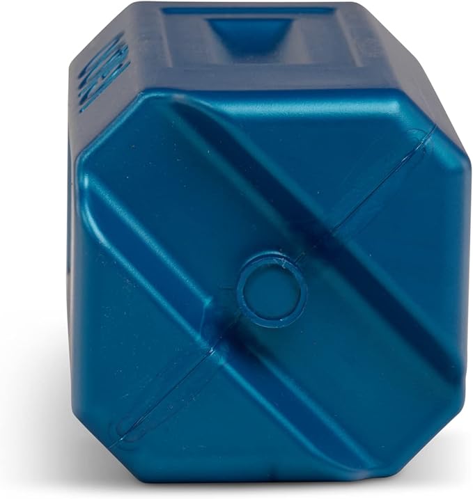 Igloo Performance Ice Block