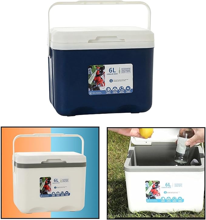 Cooler Box Ice Box 6L Personal with Handle for Freeze/Hot Food Ice Chest Small Insulated Box for Beach Camping Stall Outdoor