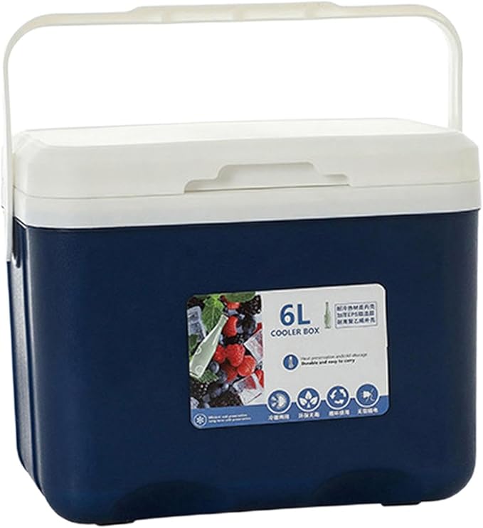 Cooler Box Ice Box 6L Personal with Handle for Freeze/Hot Food Ice Chest Small Insulated Box for Beach Camping Stall Outdoor