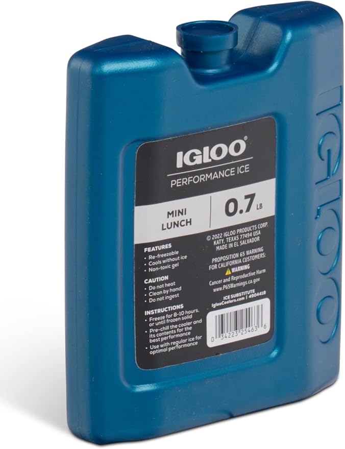Igloo Performance Ice Block