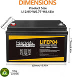 12V 100Ah LiFePO4 Battery with 100A BMS, 15000+ Deep Cycles, Solar Energy Storage, Lithium Phosphate Batteries for Home Motor, Travel Trailer, Camping, Off-Grid Power (1PC)