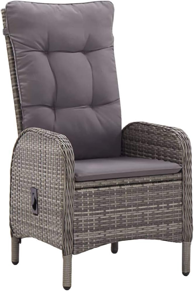 (Fast Shipment) Patio Dining Chairs, Outdoor Chairs, for Camping Pool Beach Deck, Lawn Chair Patio Chairs 2 pcs Poly Rattan Gray