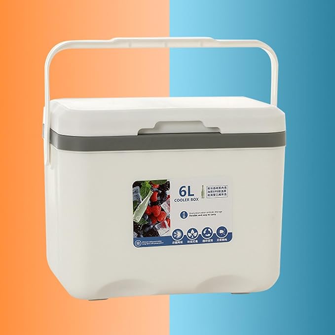 Cooler Box Ice Box 6L Personal with Handle for Freeze/Hot Food Ice Chest Small Insulated Box for Beach Camping Stall Outdoor