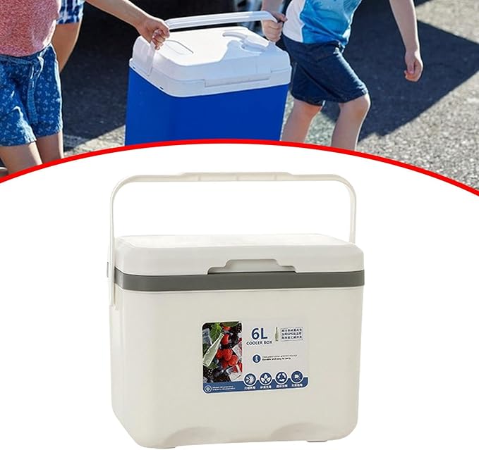 Cooler Box Ice Box 6L Personal with Handle for Freeze/Hot Food Ice Chest Small Insulated Box for Beach Camping Stall Outdoor